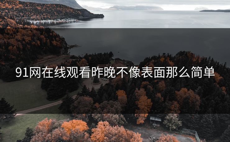 91网在线观看昨晚不像表面那么简单