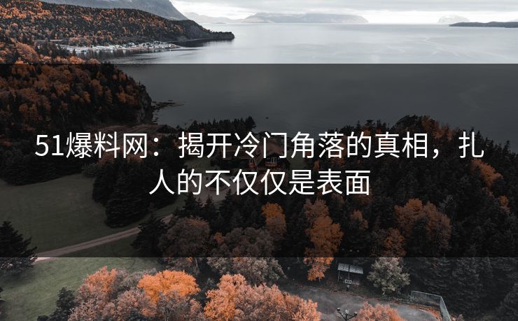 51爆料网：揭开冷门角落的真相，扎人的不仅仅是表面