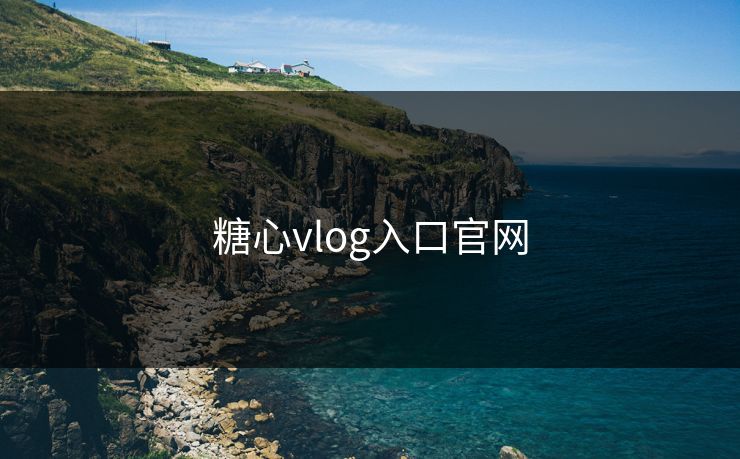 糖心vlog入口官网