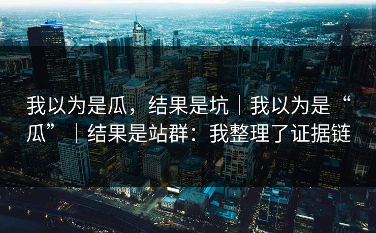 我以为是瓜，结果是坑｜我以为是“瓜”｜结果是站群：我整理了证据链